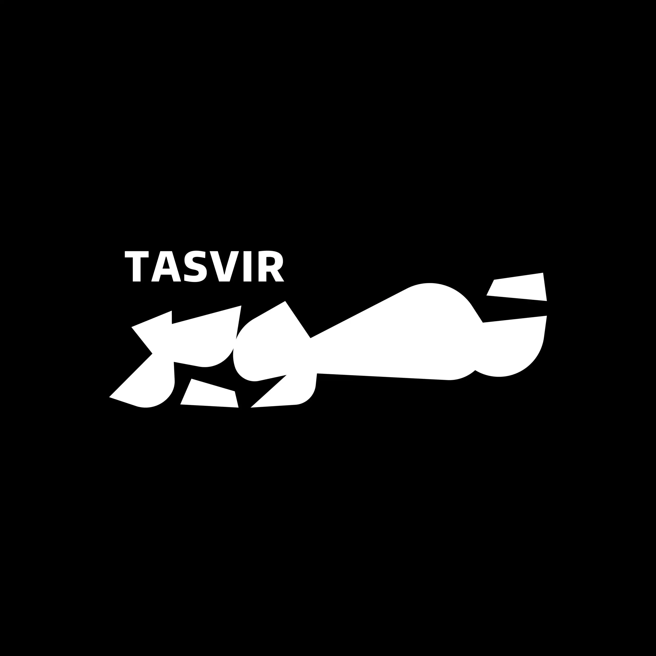 مجلهی تاریخ تصویر